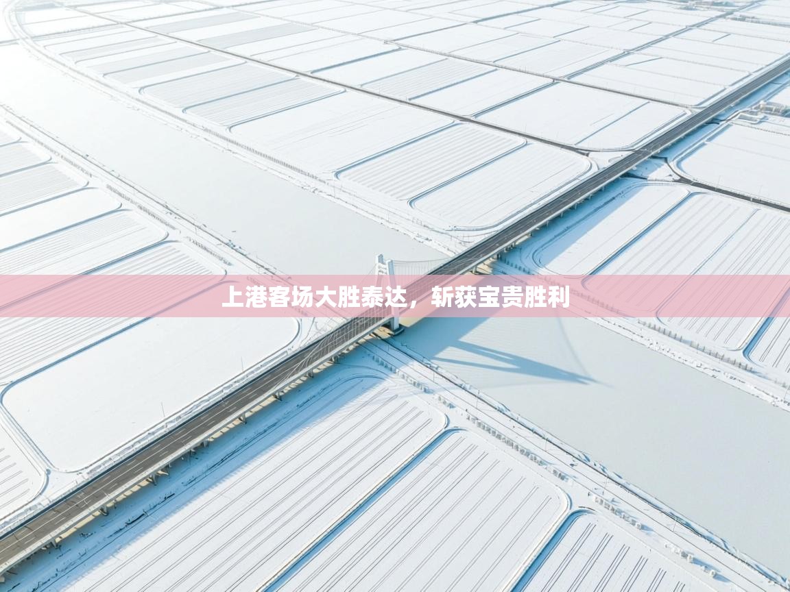 开云体育app网页版入口-上港客场大胜泰达，斩获宝贵胜利  第4张