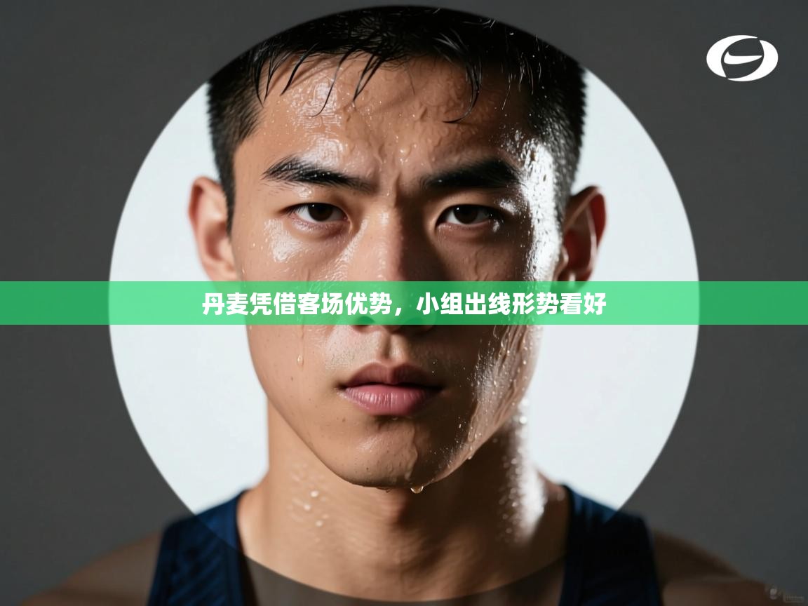 开云体育数据中心统计-丹麦凭借客场优势，小组出线形势看好  第3张