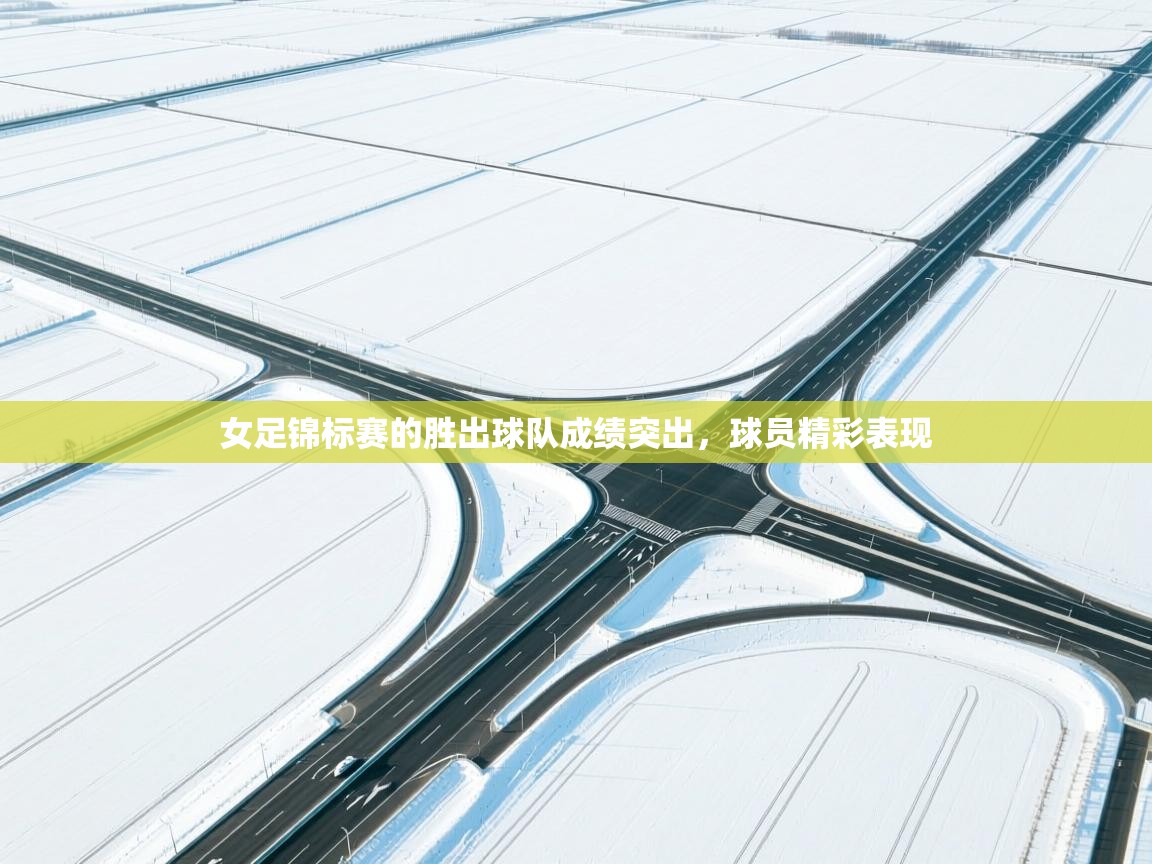开云体育app官网入口-女足锦标赛的胜出球队成绩突出，球员精彩表现  第3张