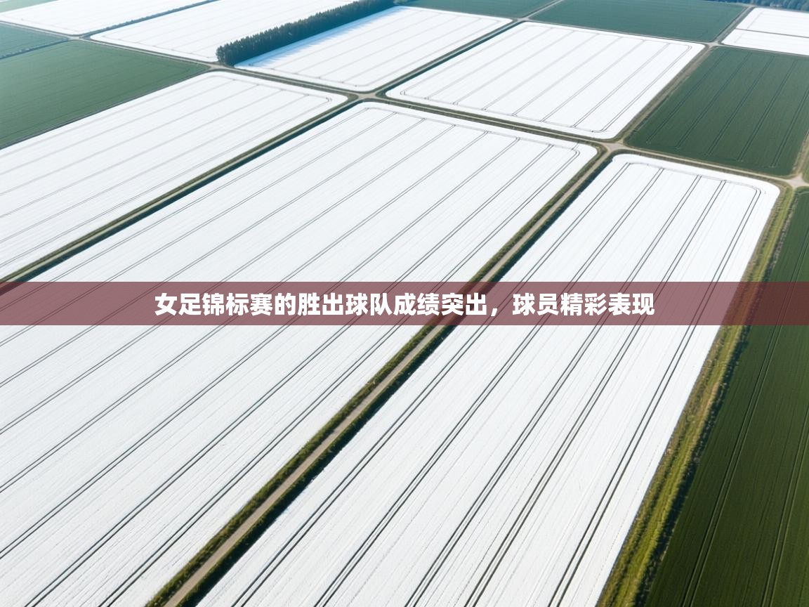 开云体育app官网入口-女足锦标赛的胜出球队成绩突出，球员精彩表现  第4张