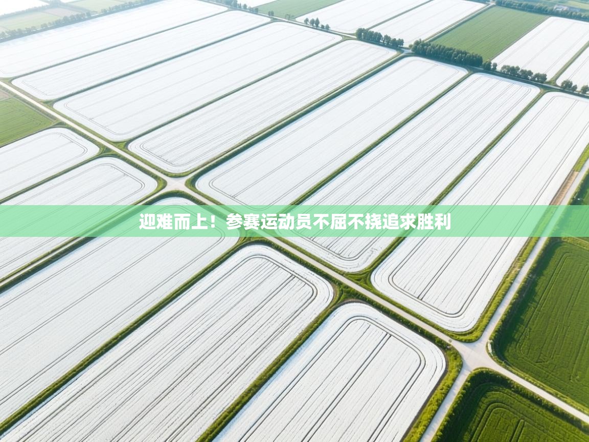 开云·体育app中国官方网站-迎难而上！参赛运动员不屈不挠追求胜利  第4张