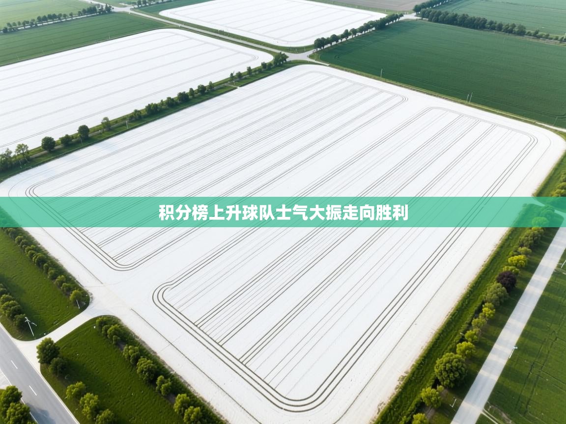 kaiyun开运·体育官方网站-积分榜上升球队士气大振走向胜利 第1张