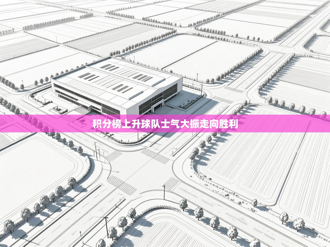 kaiyun开运·体育官方网站-积分榜上升球队士气大振走向胜利 第2张