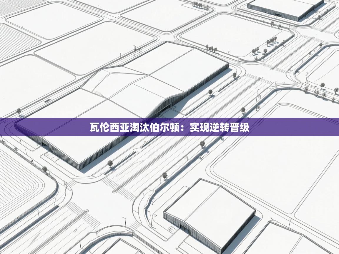 开云体育在线入口-瓦伦西亚淘汰伯尔顿:实现逆转晋级 第4张