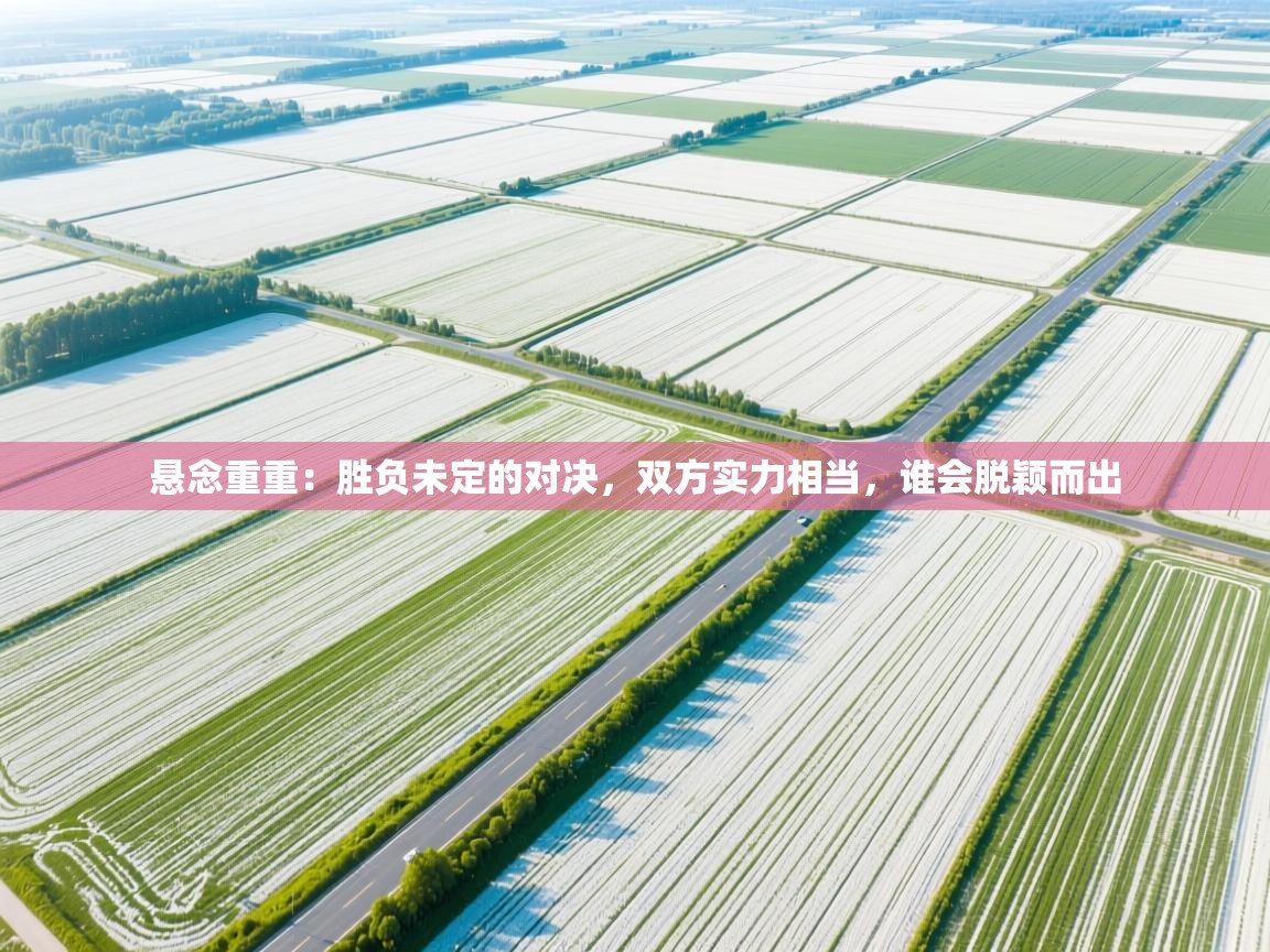 开云官网-悬念重重:胜负未定的对决,双方实力相当,谁会脱颖而出 第1张