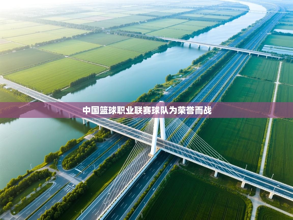 开云网页版-中国篮球职业联赛球队为荣誉而战  第1张