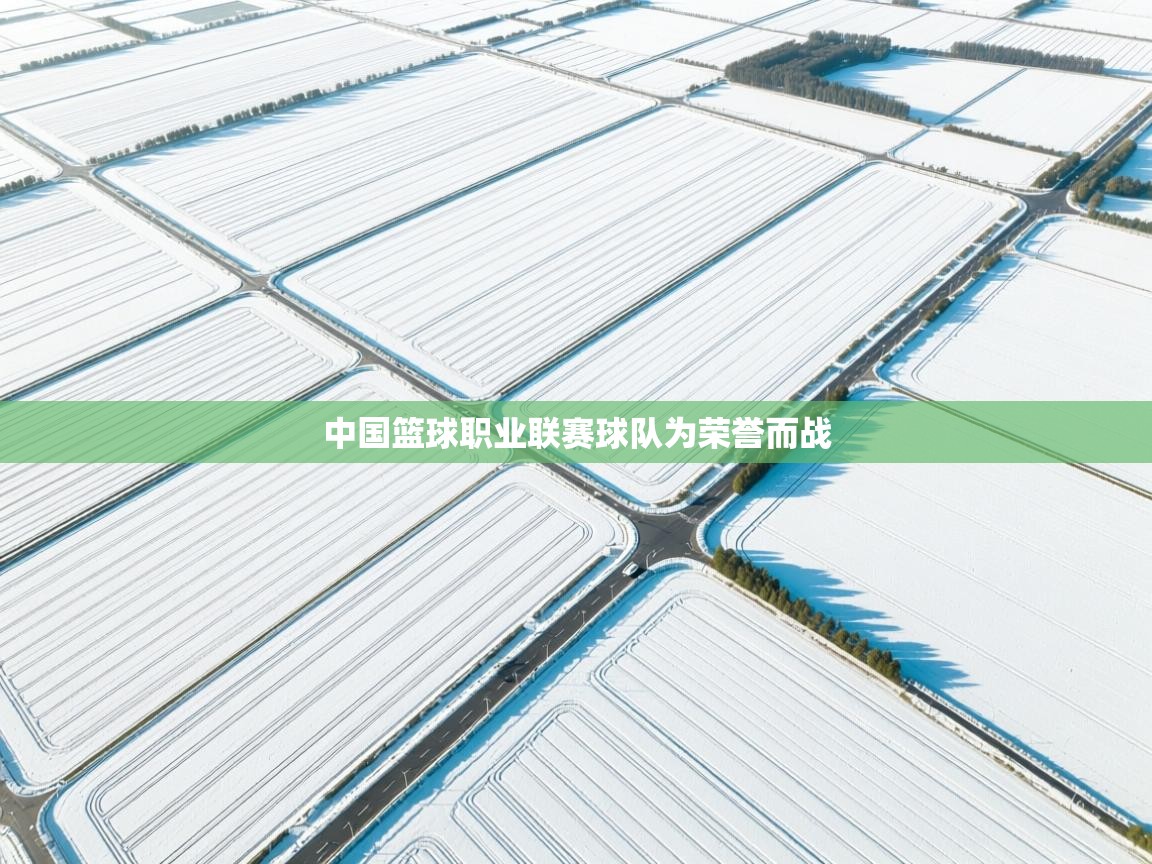 开云网页版-中国篮球职业联赛球队为荣誉而战  第2张