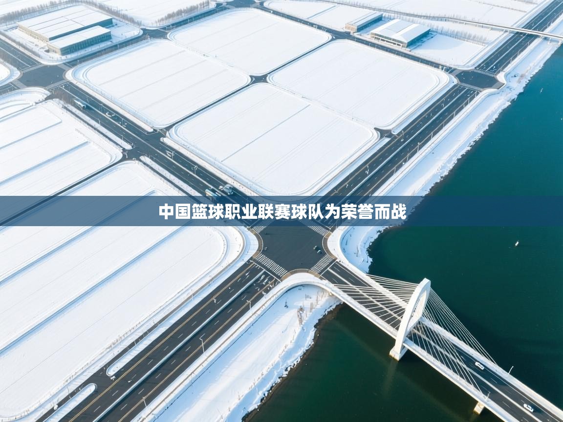 开云网页版-中国篮球职业联赛球队为荣誉而战  第4张