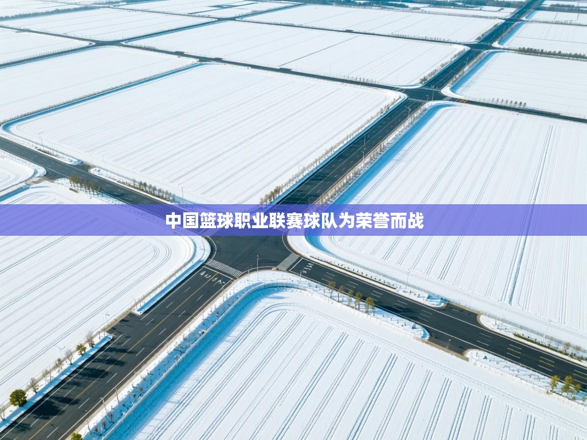 开云网页版-中国篮球职业联赛球队为荣誉而战  第3张