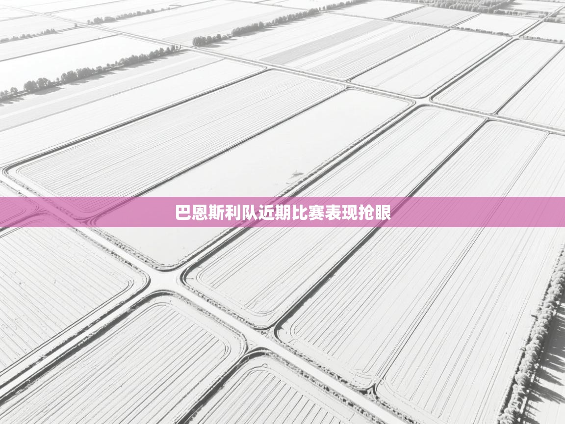 开云体育英文版入口-巴恩斯利队近期比赛表现抢眼  第1张