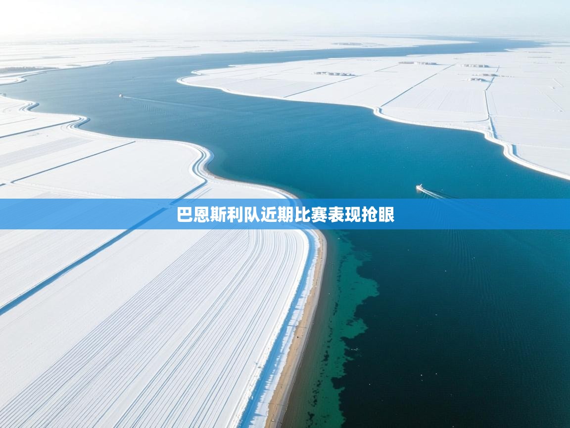 开云体育英文版入口-巴恩斯利队近期比赛表现抢眼  第2张