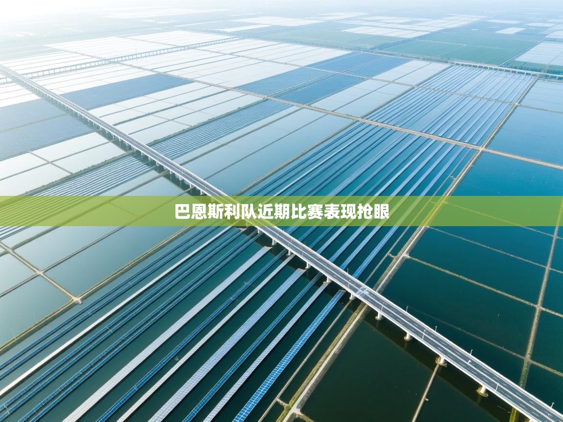 开云体育英文版入口-巴恩斯利队近期比赛表现抢眼  第3张