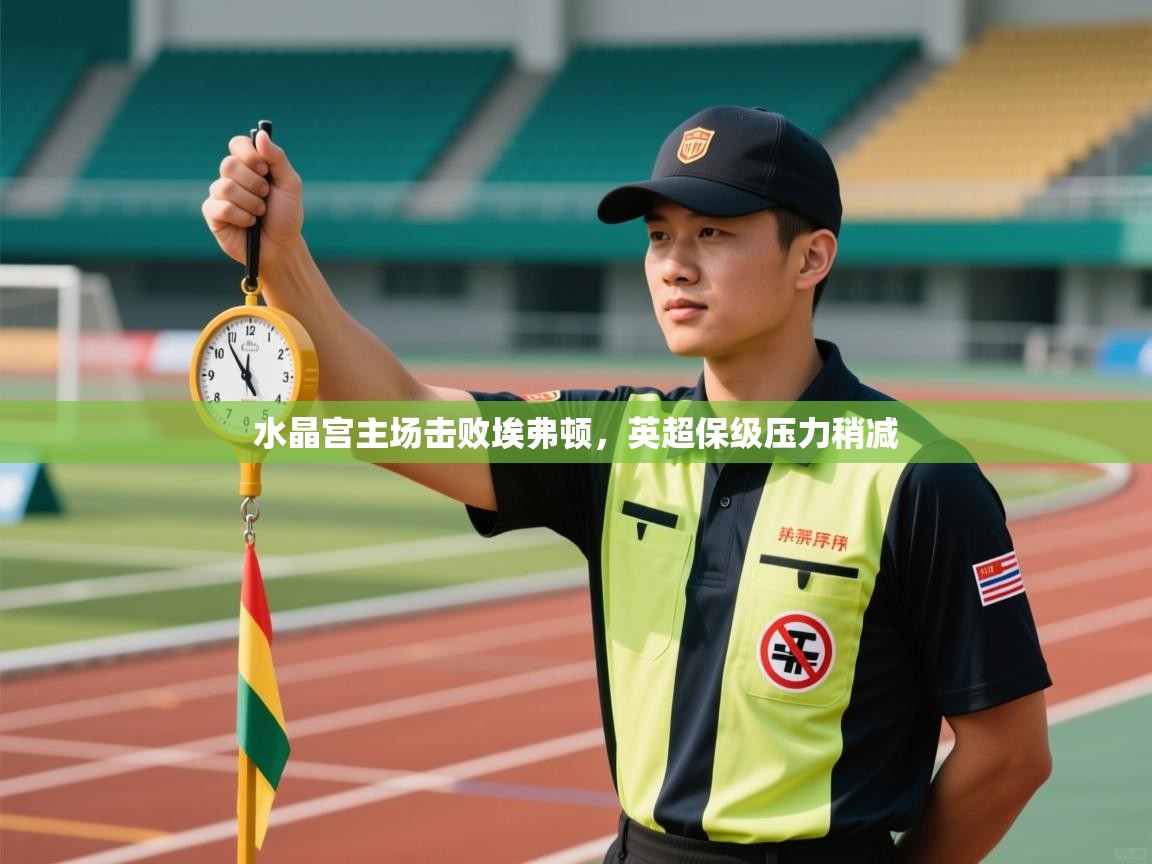 云开体育官网登录入口手机版-水晶宫主场击败埃弗顿，英超保级压力稍减  第1张