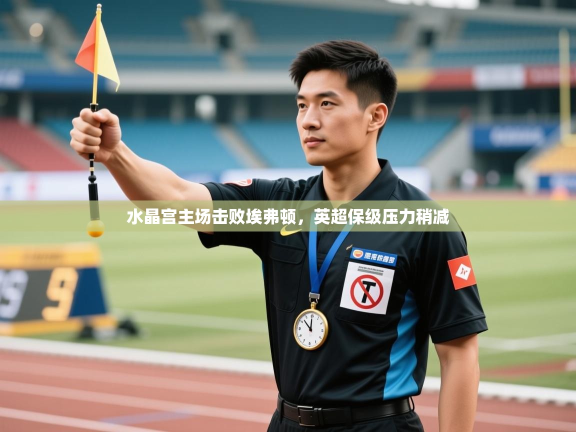 云开体育官网登录入口手机版-水晶宫主场击败埃弗顿，英超保级压力稍减  第2张