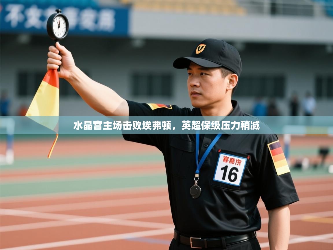 云开体育官网登录入口手机版-水晶宫主场击败埃弗顿，英超保级压力稍减  第3张