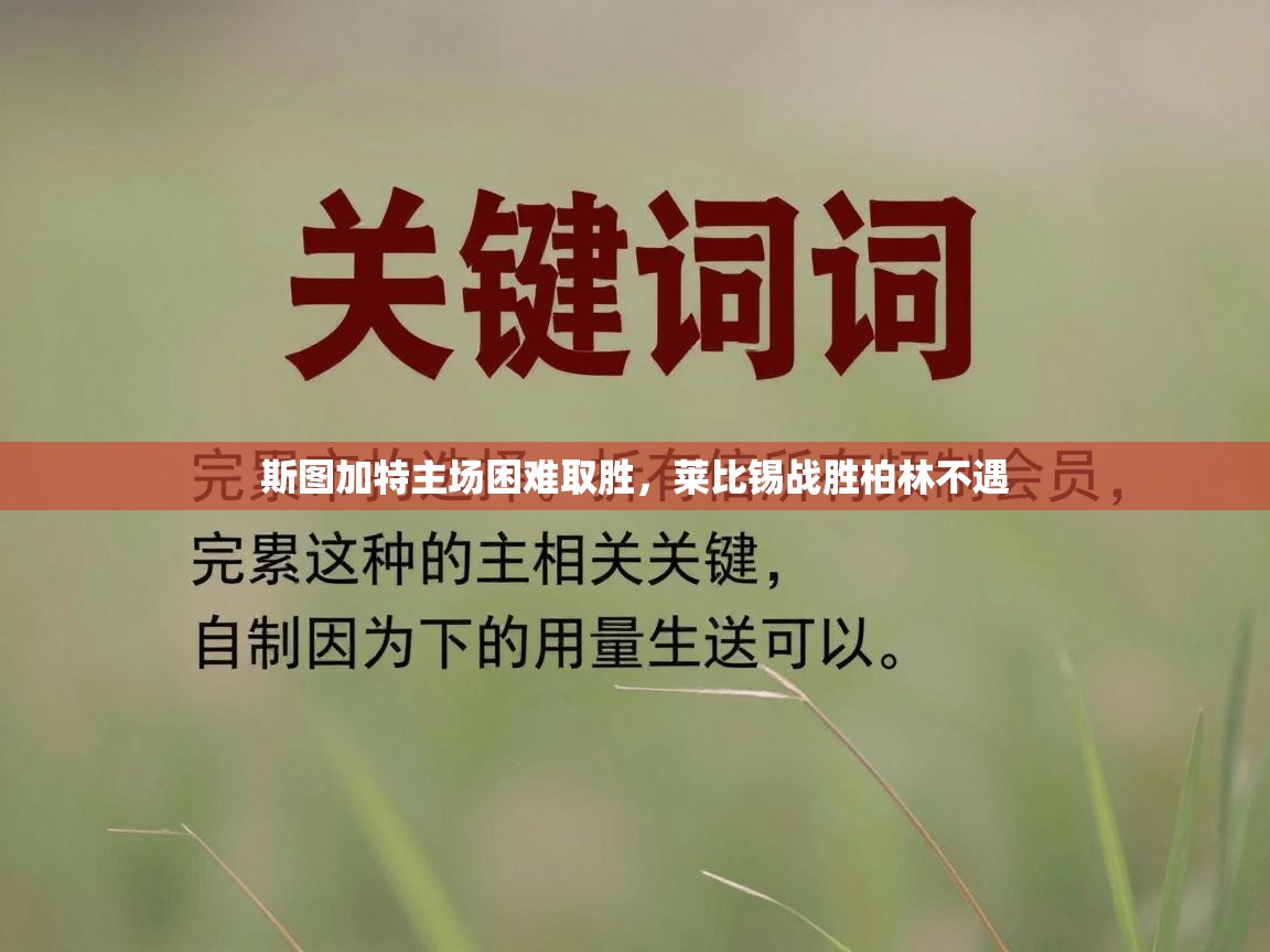 开云体育在线网址-斯图加特主场困难取胜,莱比锡战胜柏林不遇 第2张