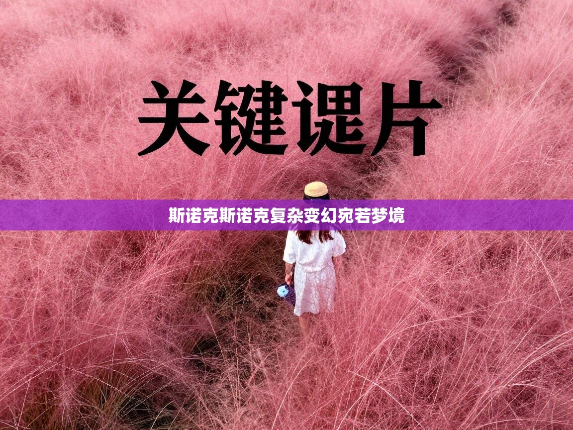 云开体育app网页版入口-斯诺克斯诺克复杂变幻宛若梦境  第2张