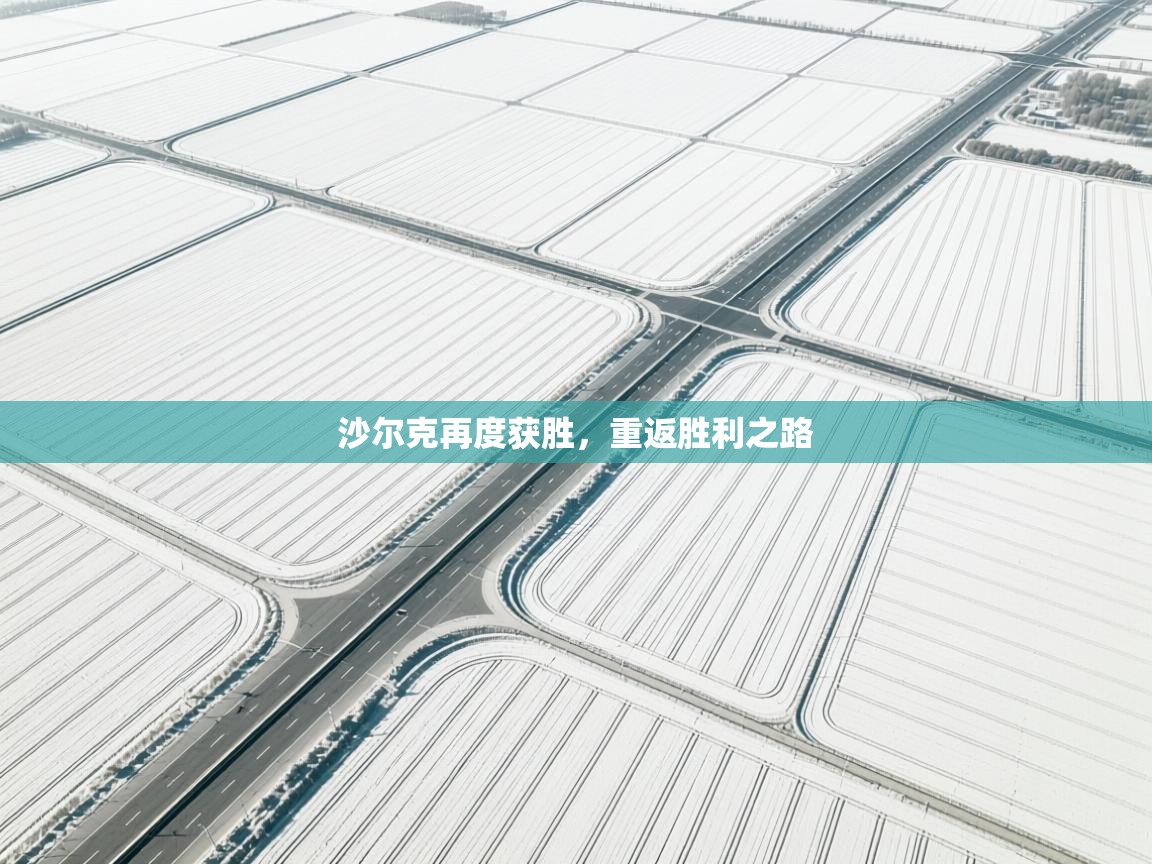 kaiyun sports-沙尔克再度获胜，重返胜利之路  第2张