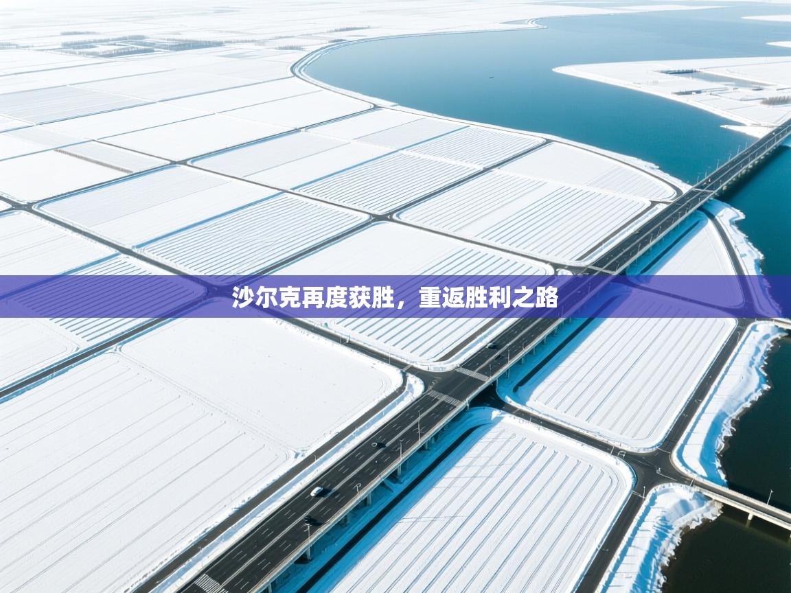 kaiyun sports-沙尔克再度获胜，重返胜利之路  第3张