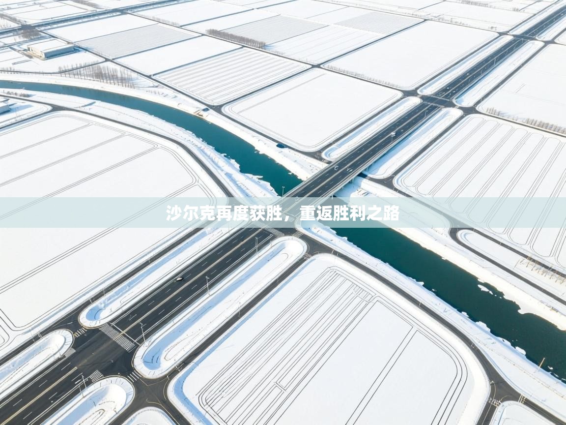 kaiyun sports-沙尔克再度获胜，重返胜利之路  第4张