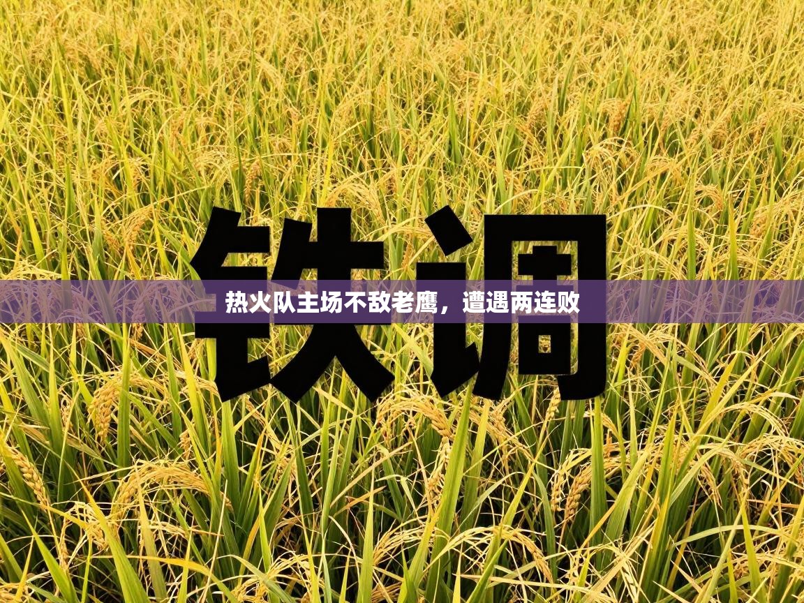 开云体育消息订阅关闭-热火队主场不敌老鹰,遭遇两连败 第3张